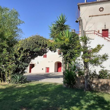 Pier Delle Vigne B&B Pineto Exterior foto