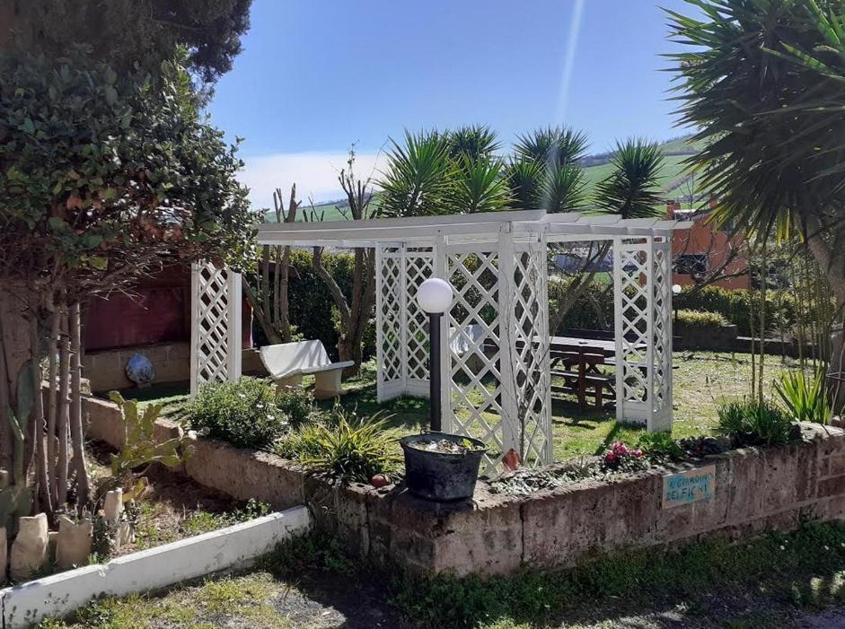Pier Delle Vigne B&B Pineto Exterior foto