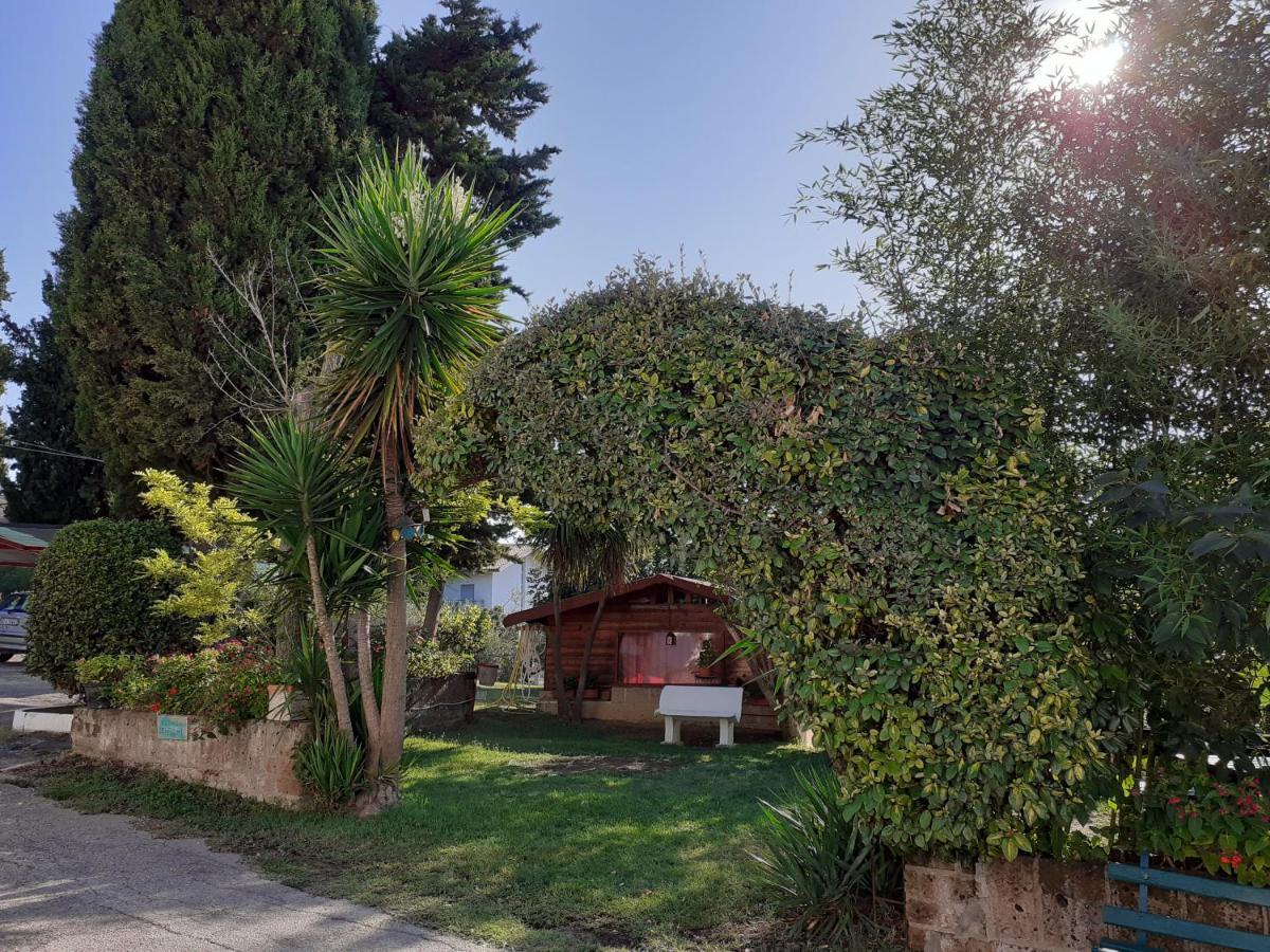 Pier Delle Vigne B&B Pineto Exterior foto