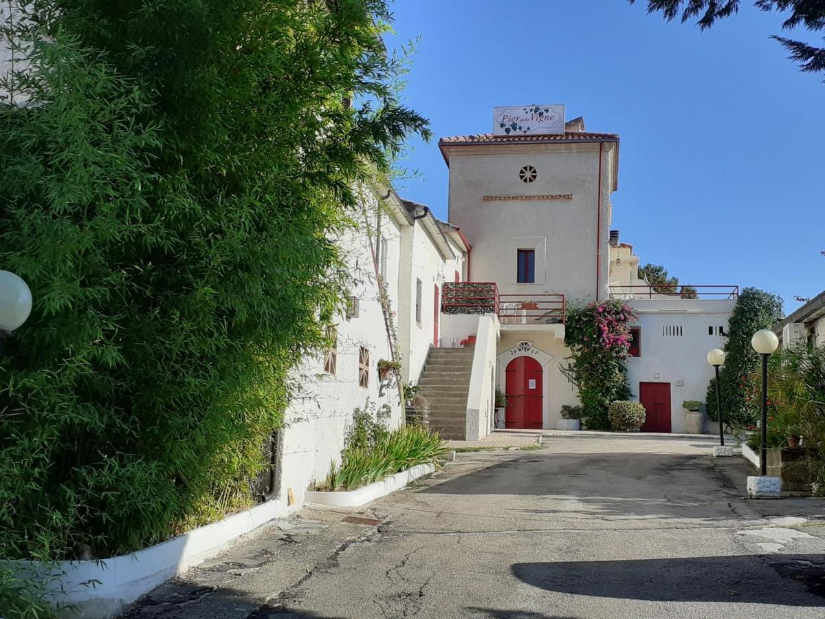 Pier Delle Vigne B&B Pineto Exterior foto