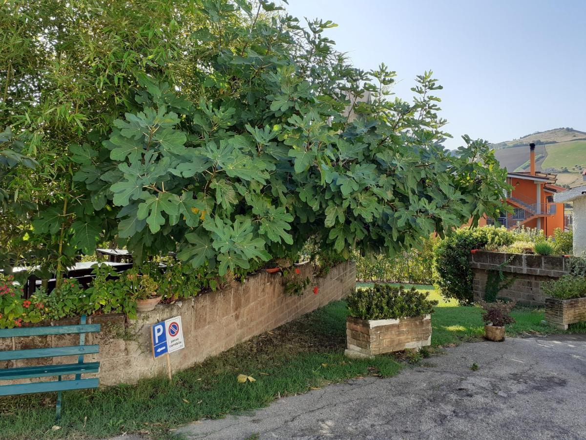Pier Delle Vigne B&B Pineto Exterior foto