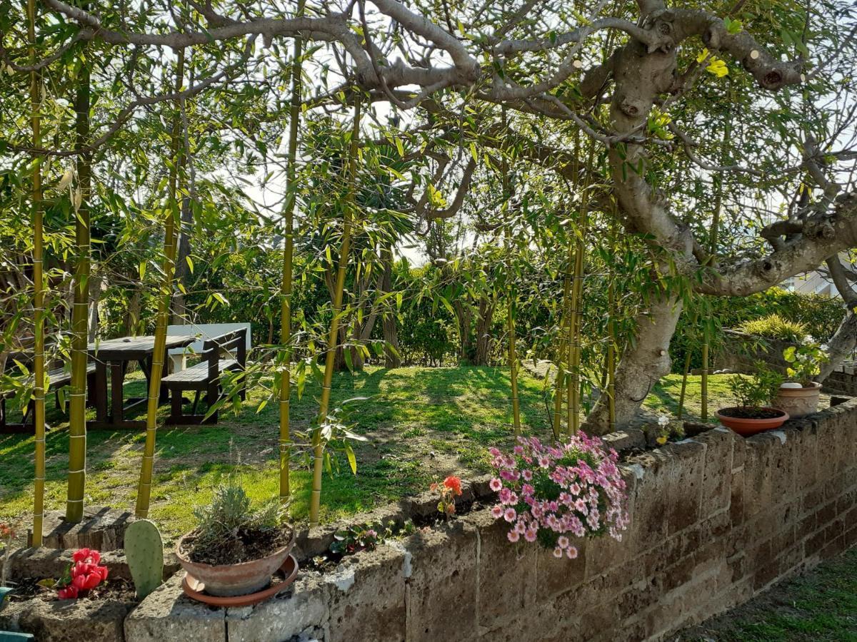 Pier Delle Vigne B&B Pineto Exterior foto