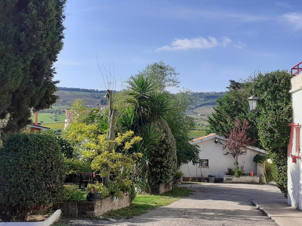 Pier Delle Vigne B&B Pineto Exterior foto