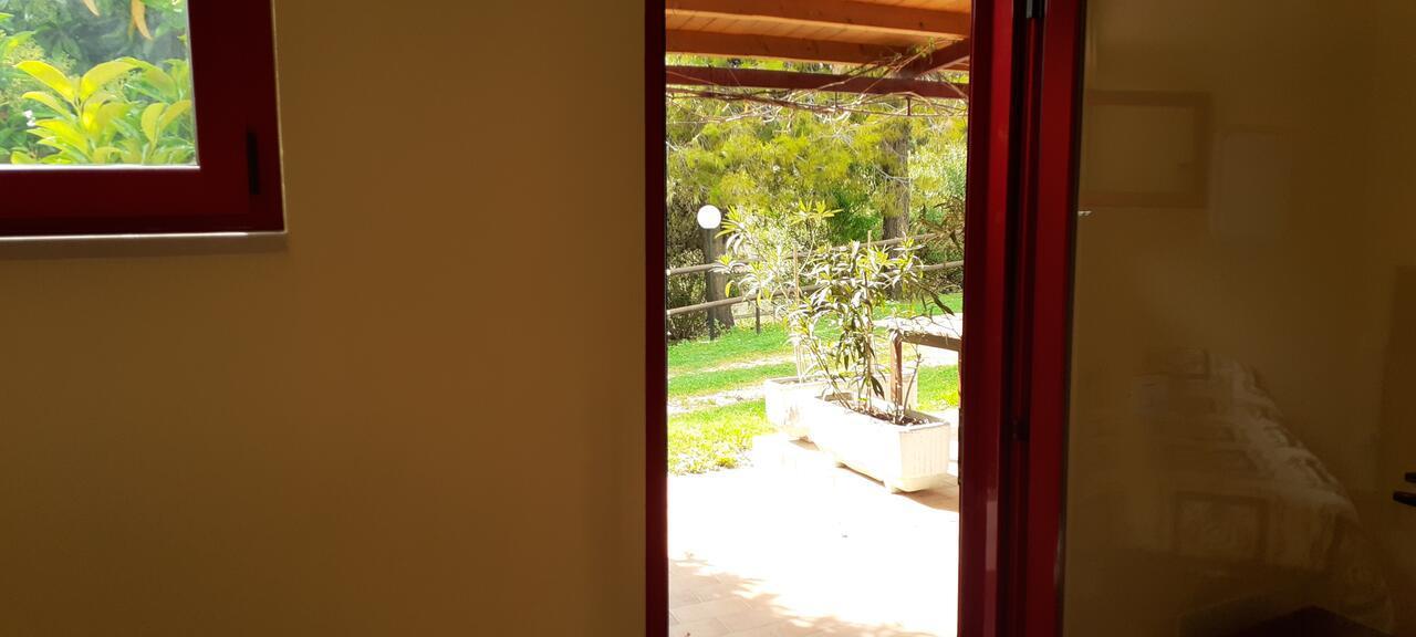 Pier Delle Vigne B&B Pineto Exterior foto