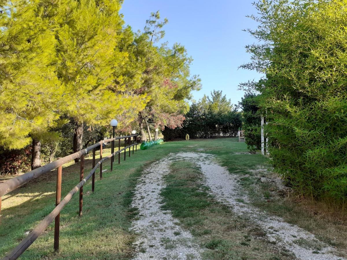 Pier Delle Vigne B&B Pineto Exterior foto