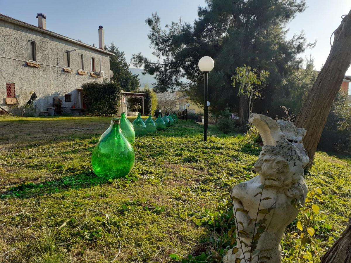 Pier Delle Vigne B&B Pineto Exterior foto