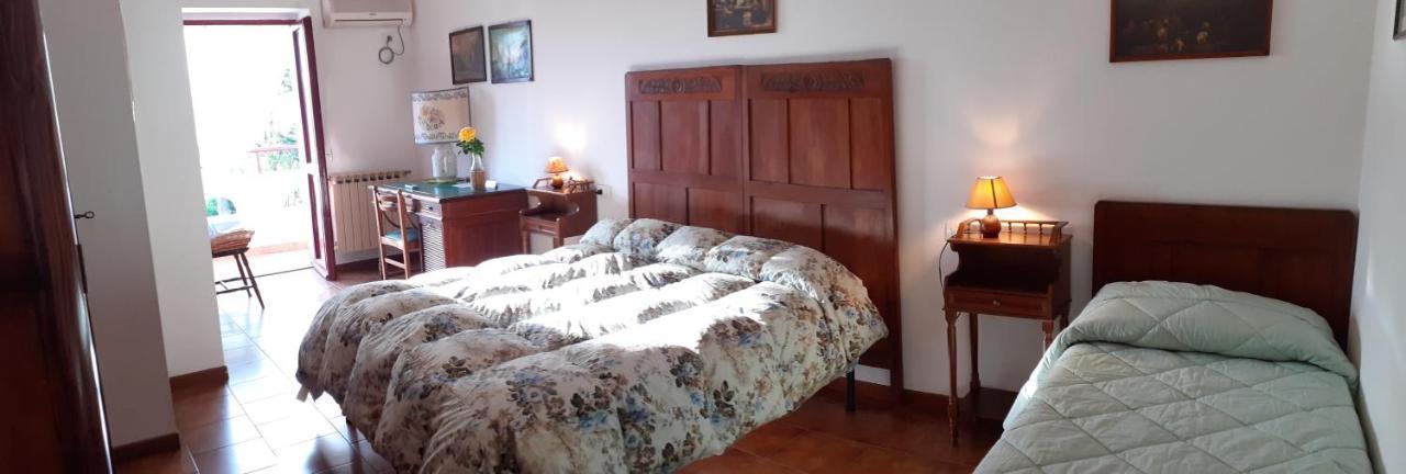 Pier Delle Vigne B&B Pineto Exterior foto